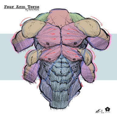 Male 4 Arm Torso
